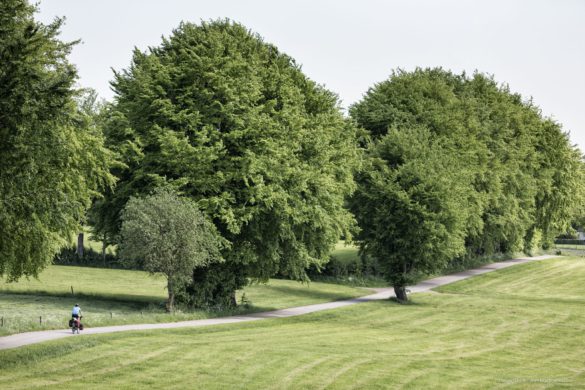 Fietstocht Eiffel Ardennen met Avaghon X29