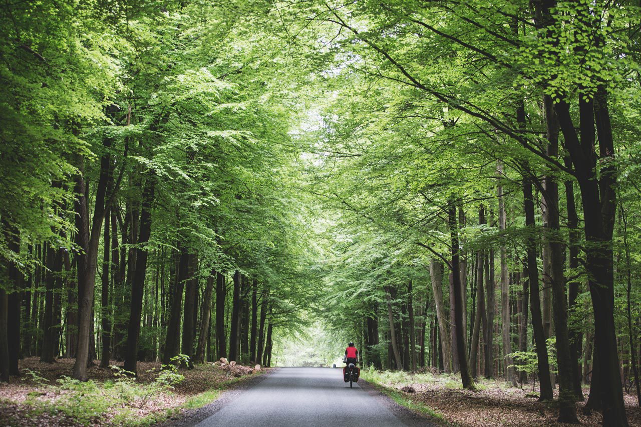 Fietstocht Eiffel Ardennen met Avaghon X29