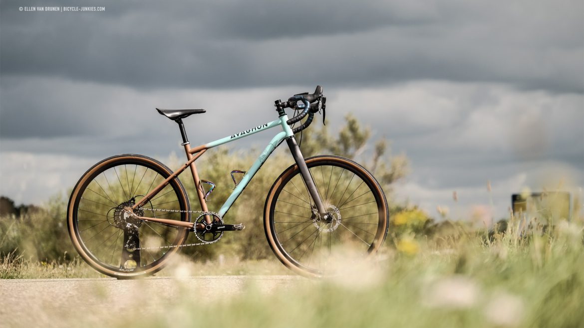 AVAGHON_20200824_260 Avaghon X29 Gravelbike