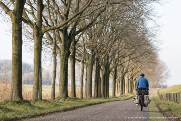 Cycling in the Netherlands