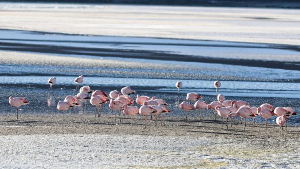 Cycling the Laguna Route in Bolivia