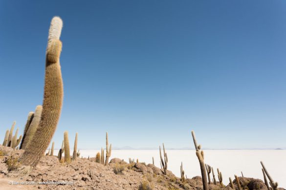 Cycling the Laguna Route in Bolivia