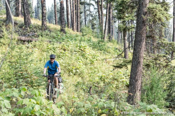 Singletrack in Canada