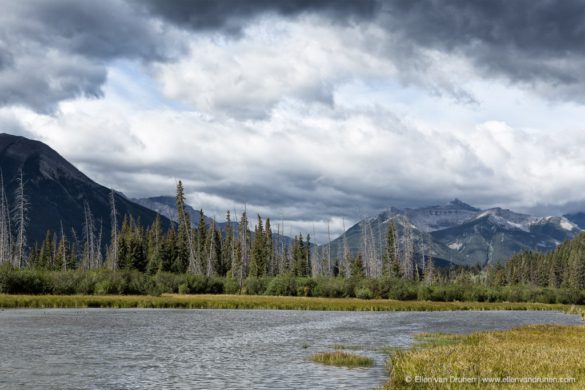 Cycling the Icefield Parkway