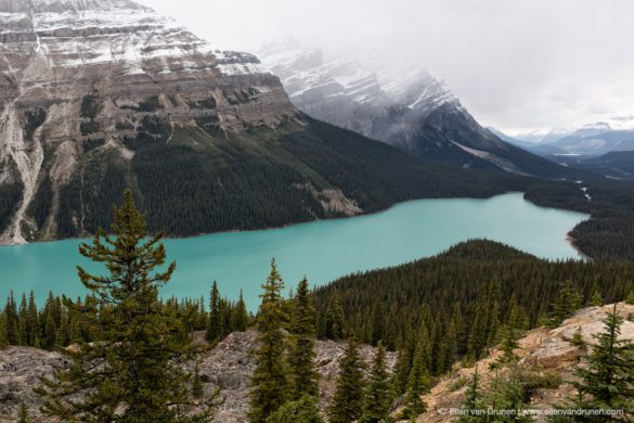 Cycling the Icefield Parkway