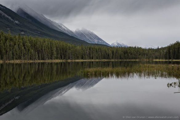 Cycling the Icefield Parkway