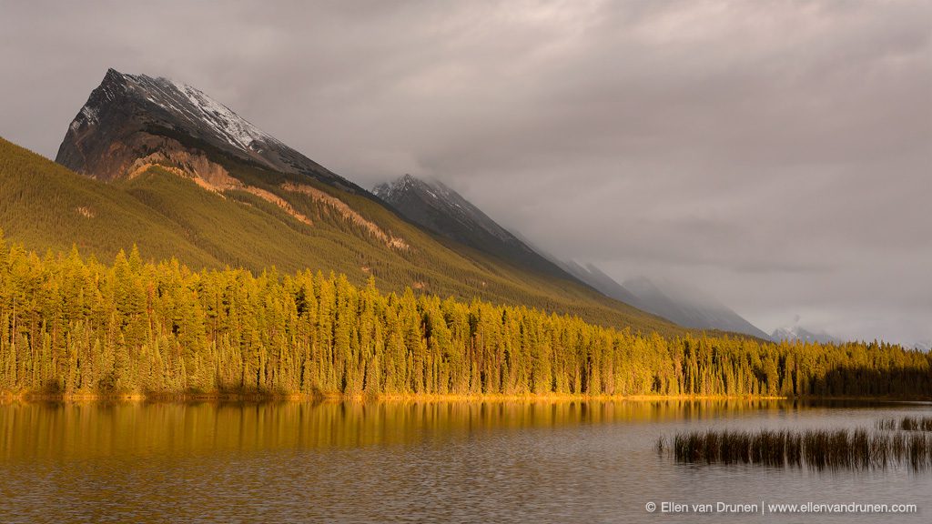 Cycling the Icefield Parkway