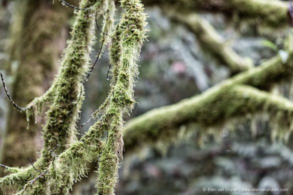 Cycling Vancouver Island