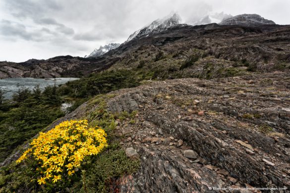 Hiking the W-trek in Torres del Paine