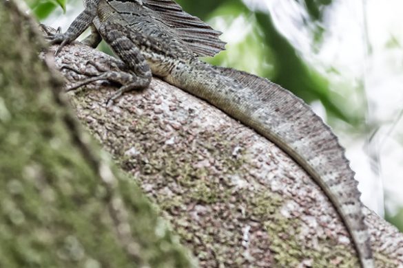 Cycling in Costa Rica