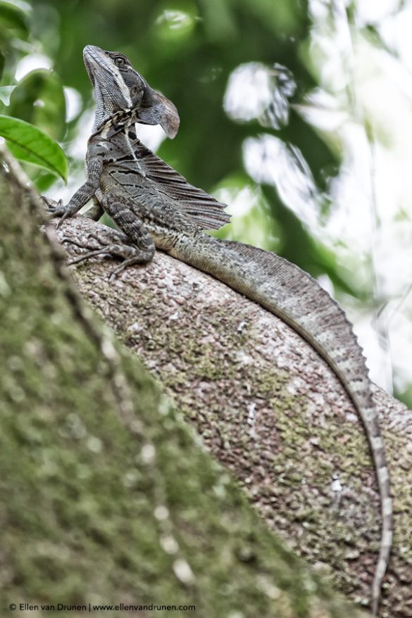 Cycling in Costa Rica