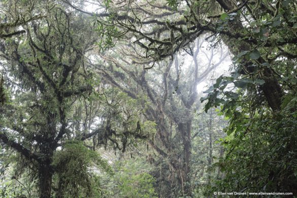 Cycling in Costa Rica