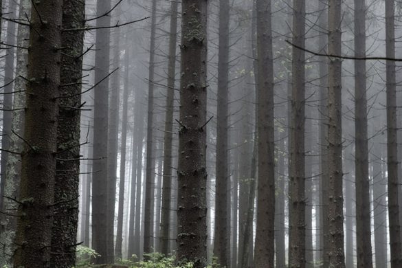 Cycling in Czech Republic