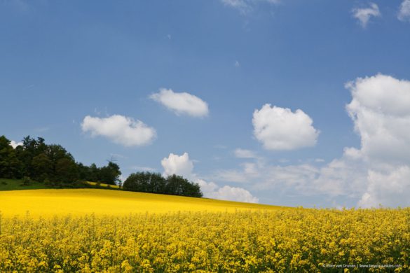 Cycling in Czech Republic