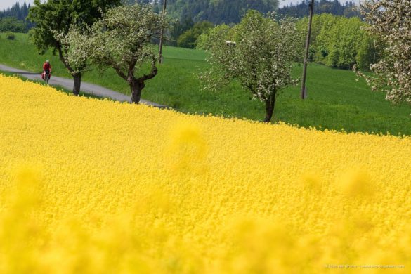 Cycling in Czech Republic