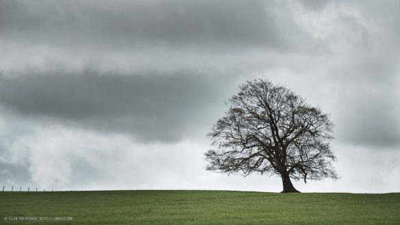 Fietsvakantie Engeland met de Avaghon X27.5