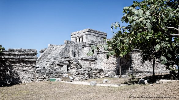 Cycling in Yucatan Mexico