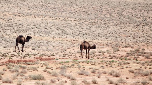 Cycling in Morocco