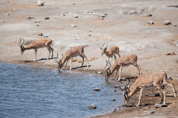 Cycling in Namibia