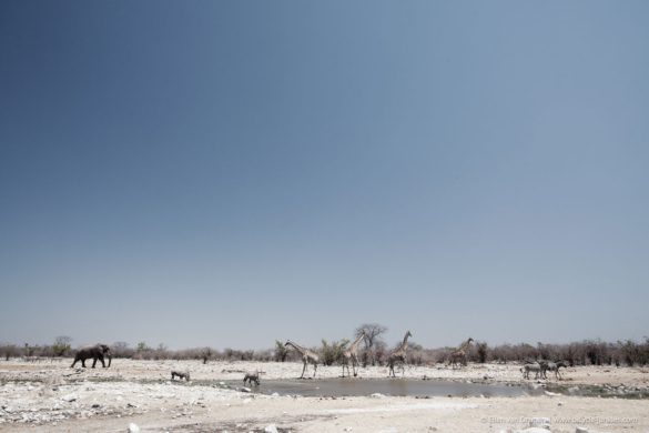 Cycling in Namibia