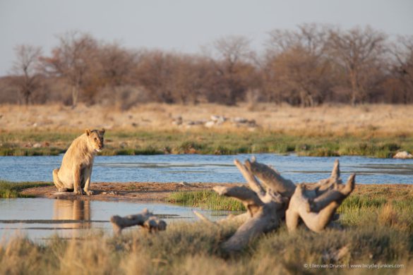 Cycling in Namibia