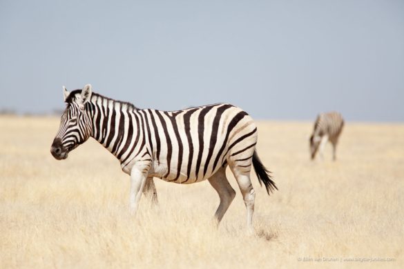 Cycling in Namibia