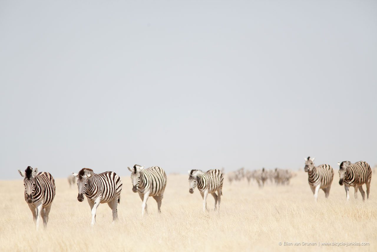 Cycling in Namibia