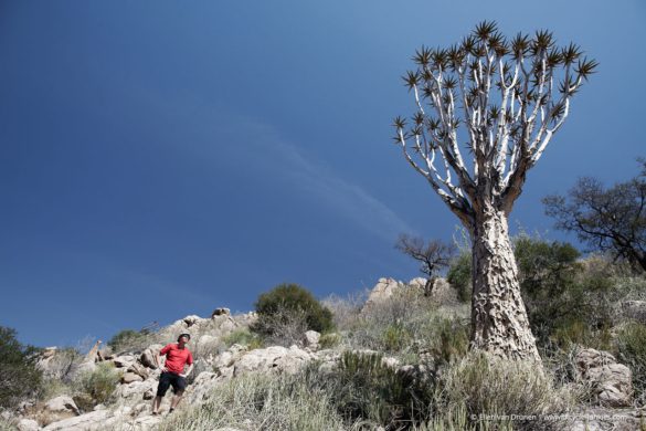 Cycling in Namibia