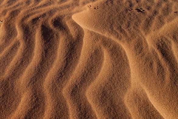 Cycling in Namibia