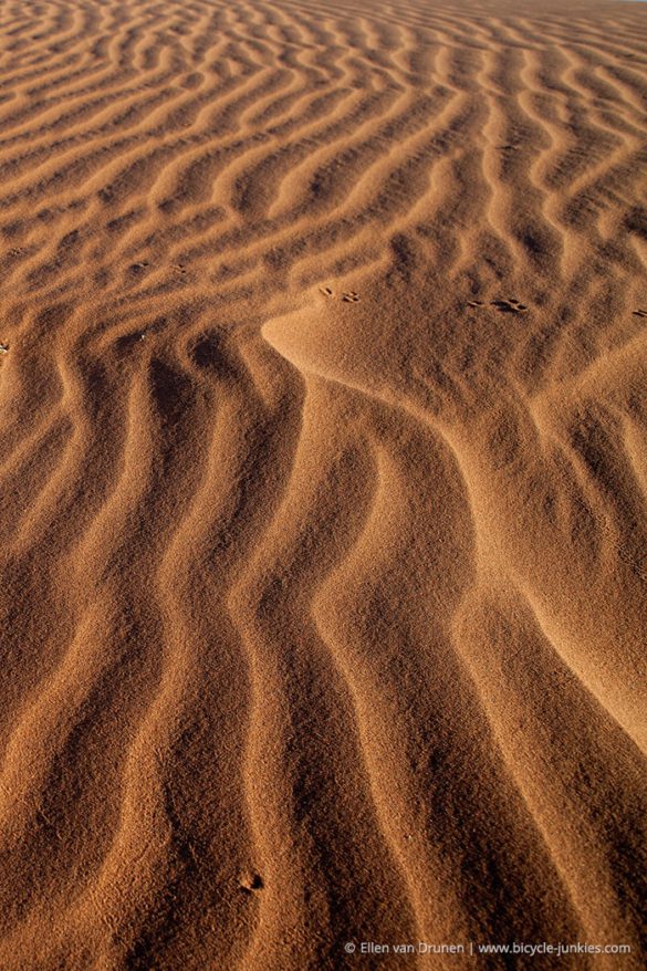 Cycling in Namibia