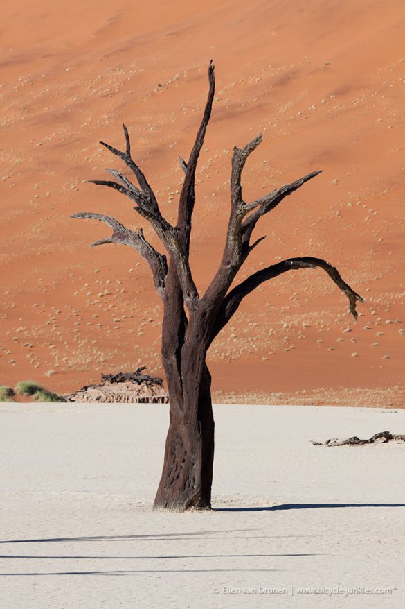 Cycling in Namibia