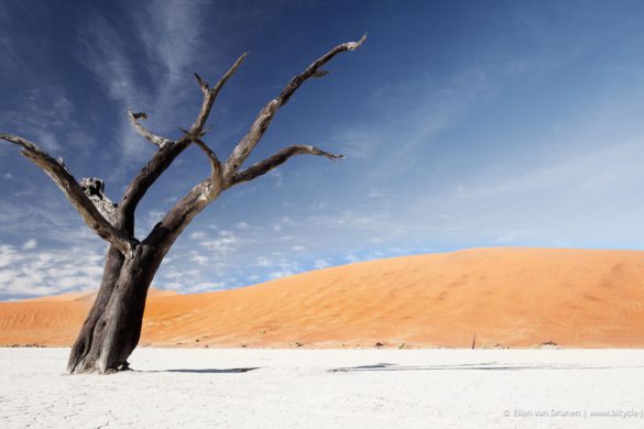 Cycling in Namibia