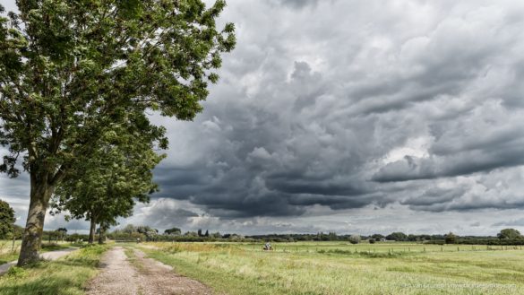 Cycling in the Netherlands