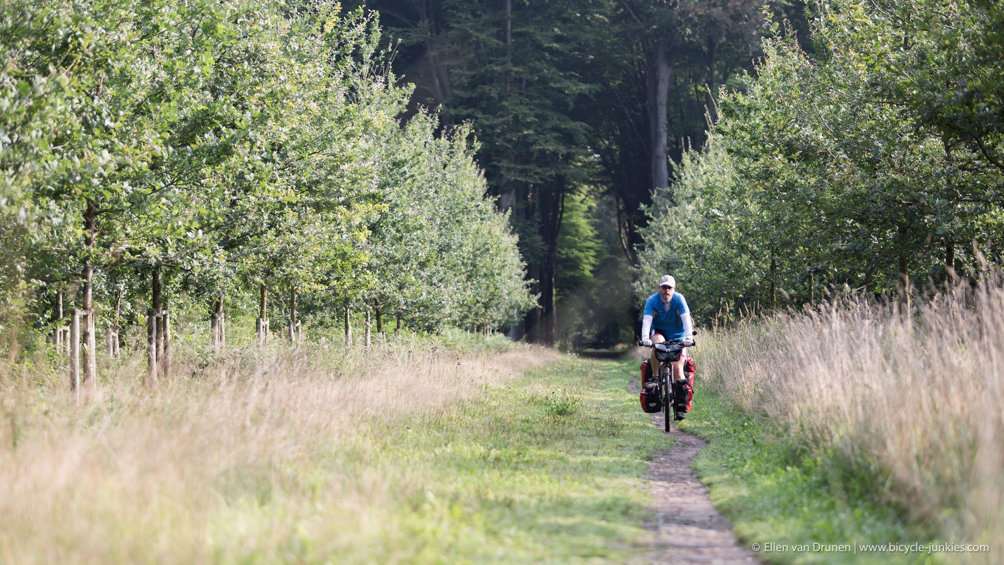 Cycling in the Netherlands