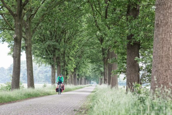 Cycling in the Netherlands on an Avaghon X29