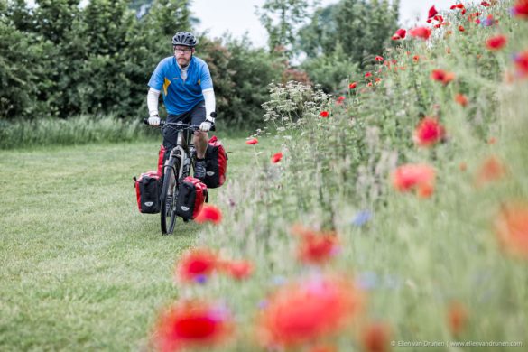 Cycling in the Netherlands on an Avaghon X29