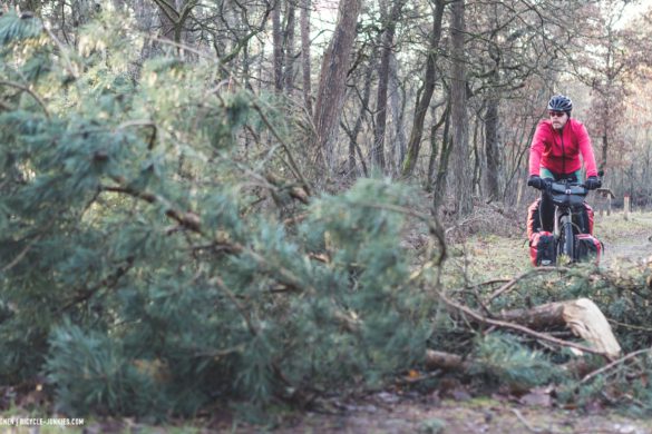 Veluwe on an Avaghon X27.5