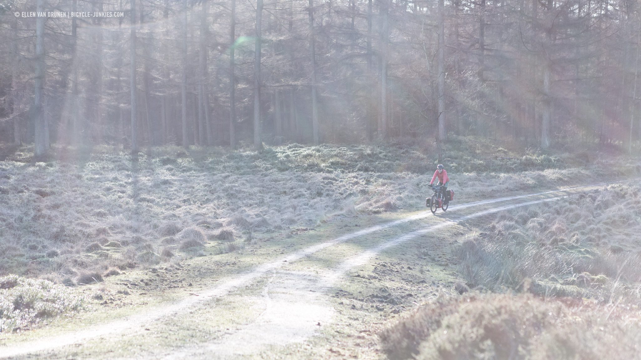 Cycling the Veluwe on an Avaghon X27.5