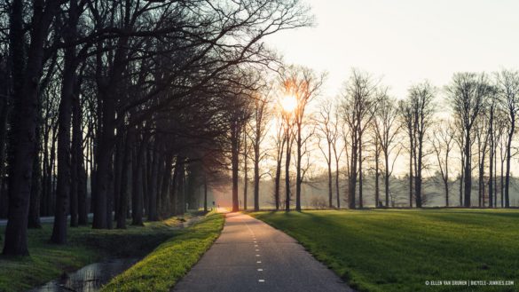 Cycling the Veluwe on an Avaghon X27.5