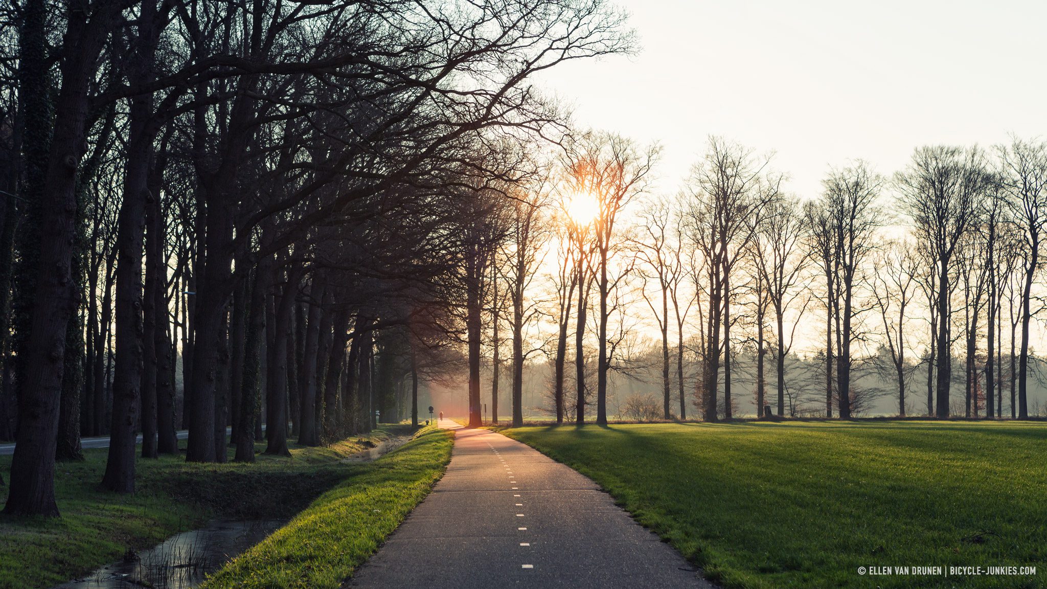 Cycling the Veluwe on an Avaghon X27.5