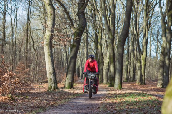 Cycling the Veluwe on an Avaghon X27.5