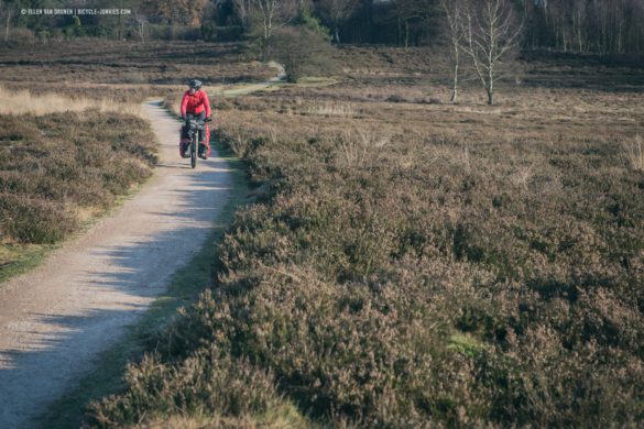 Cycling the Veluwe on an Avaghon X27.5