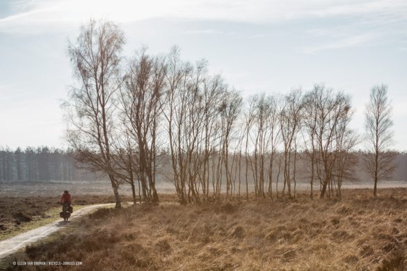 Cycling the Veluwe on an Avaghon X27.5