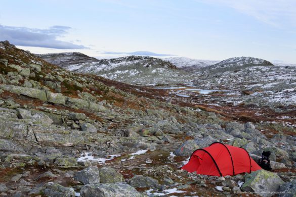 Hiking Hardangervidda Norway