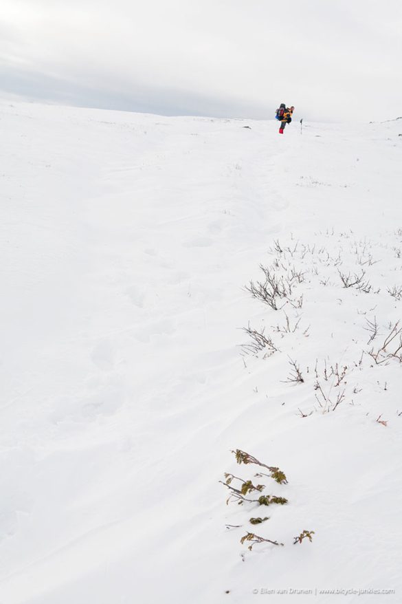 Hiking Hardangervidda Norway