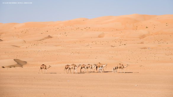 Cycling in Oman