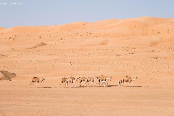 Cycling in Oman