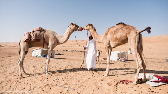 Cycling in Oman