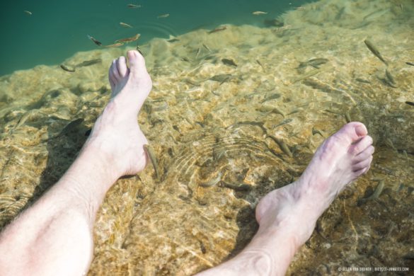 Fish nibbling Elmars feet at Wadi Bani Khalid