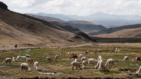 Bikepacking Peru